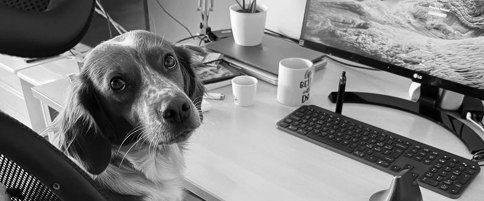 Un cane che guarda in camera accanto a una scrivania con monitor, tastiera e tazza, in bianco e nero.